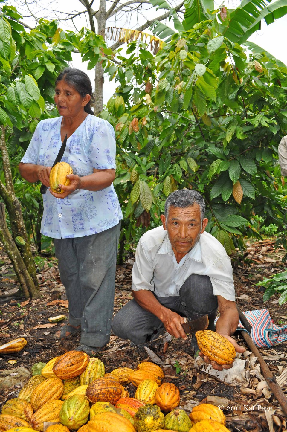 Women's Sufferage – FortunatoNo4