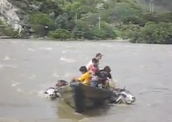 Towing a Cow Across a River