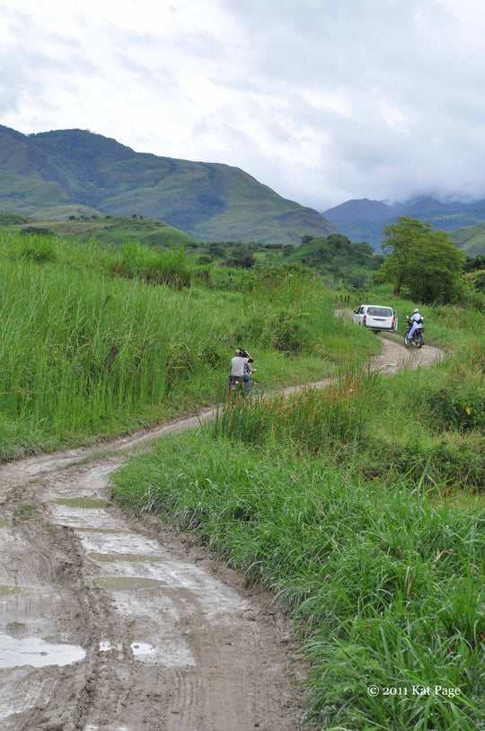 Riding Motorcycles in the Jungle